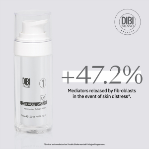 Dibi face College Lab System