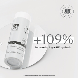 Dibi face College Lab System